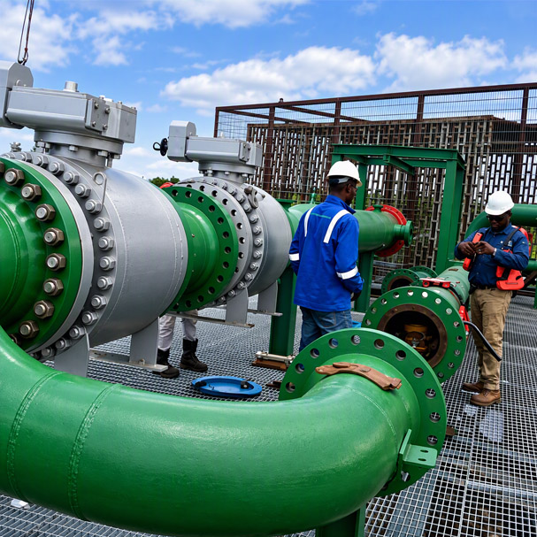 Flanges